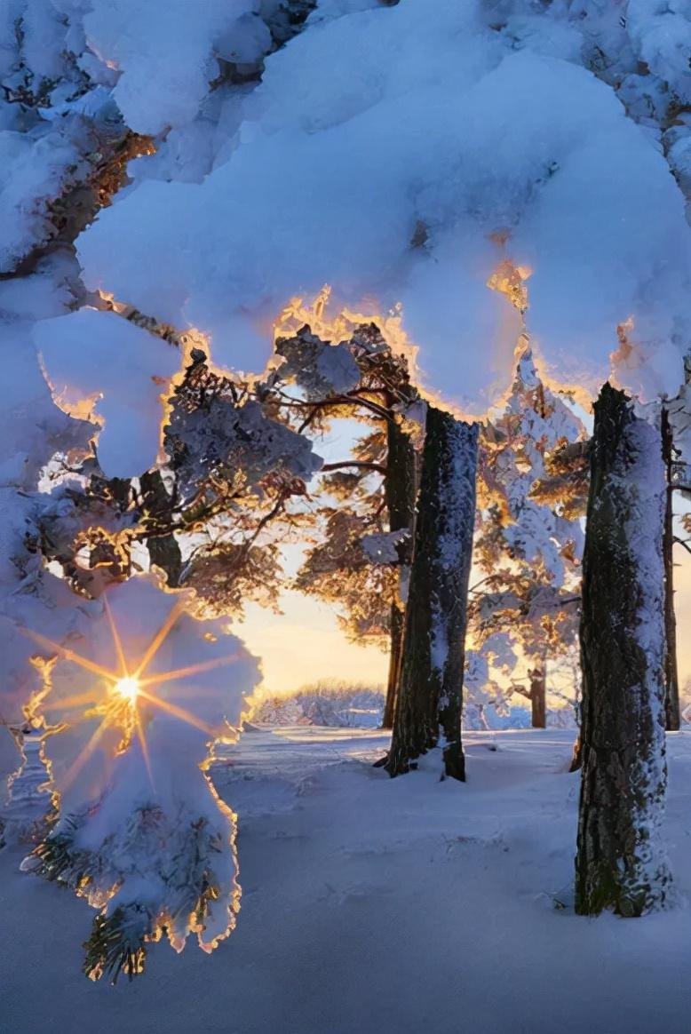 写大雪美景的古诗