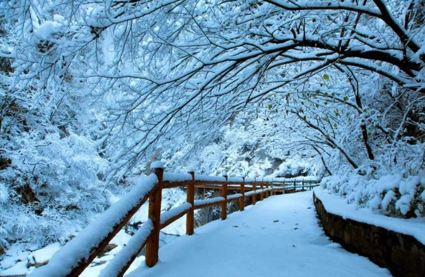 写大雪美景的古诗