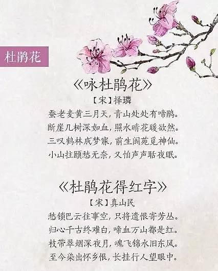 关于春花的古诗21首