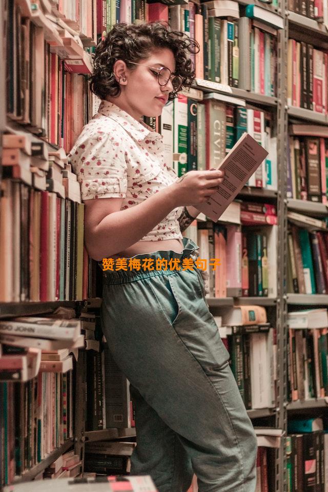 赞美梅花的优美句子