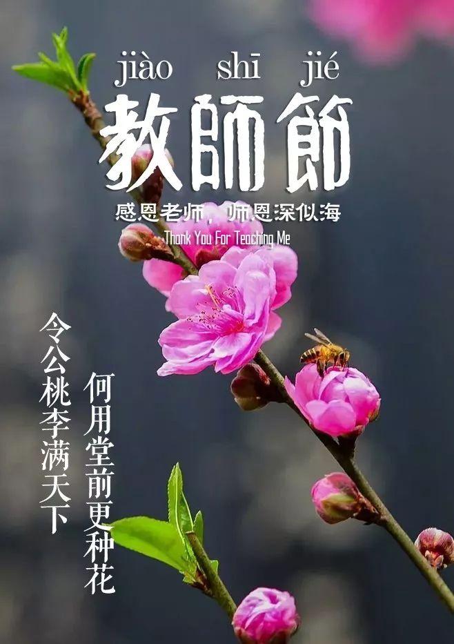 教师节赞美老师的诗词歌赋