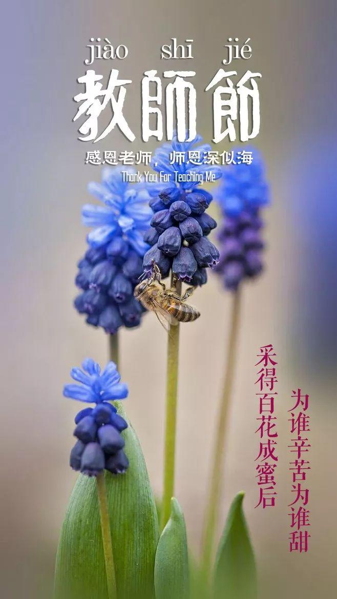 教师节赞美老师的诗词歌赋