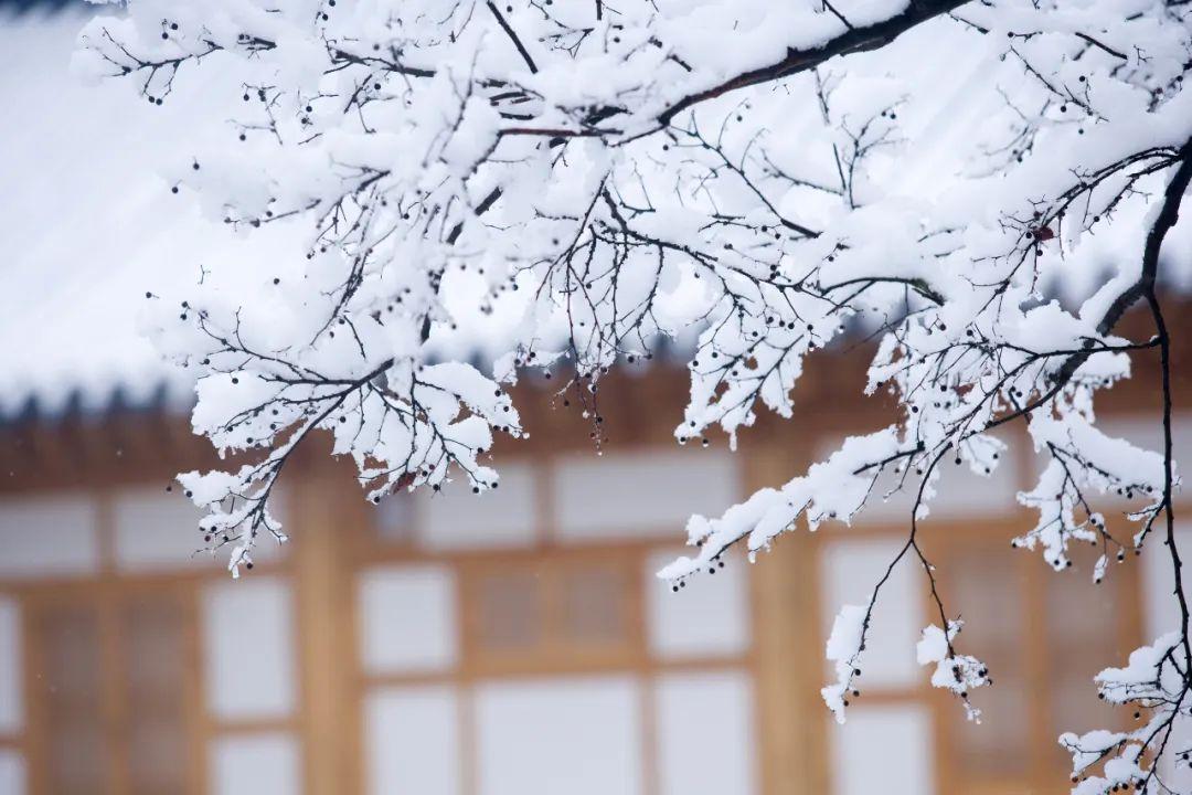 十首咏雪诗