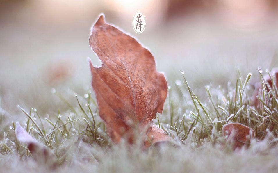 霜降诗词十三首