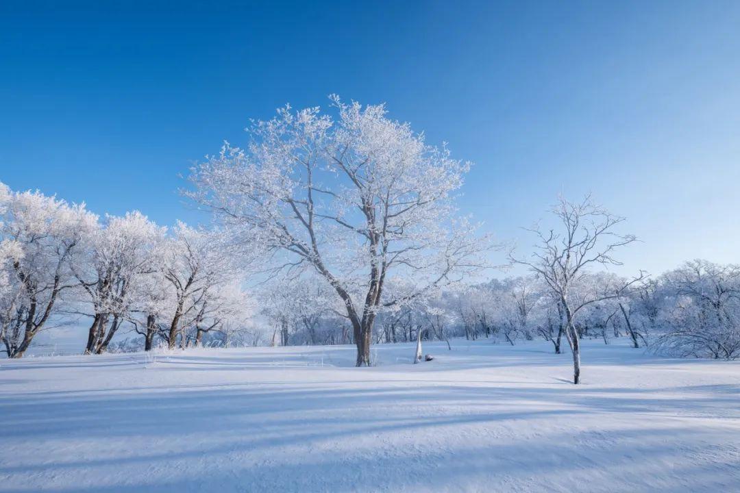 十首咏雪诗