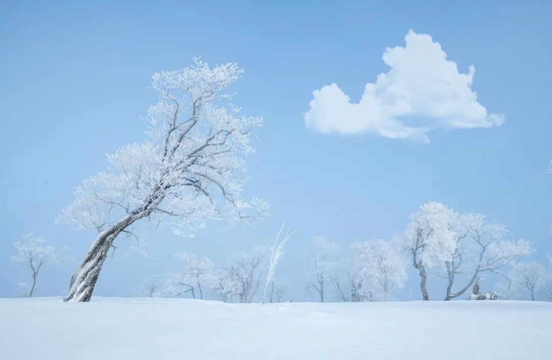 十首咏雪诗