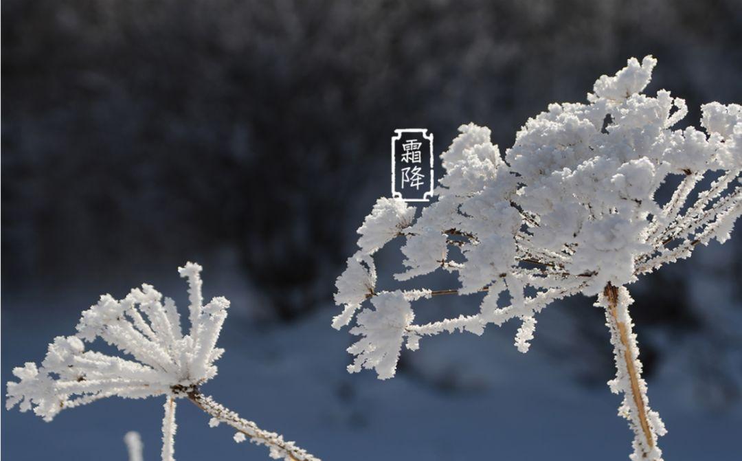 霜降诗词十三首