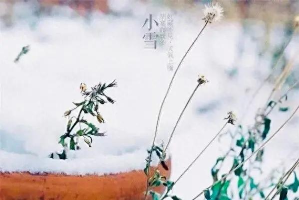 24节气之小雪