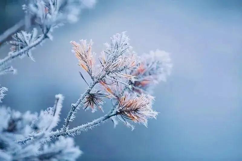 24节气之小雪