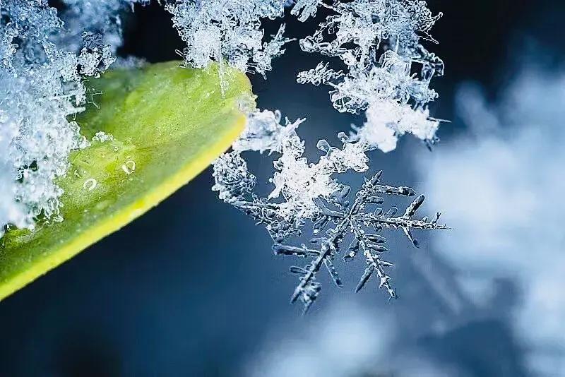 24节气之小雪