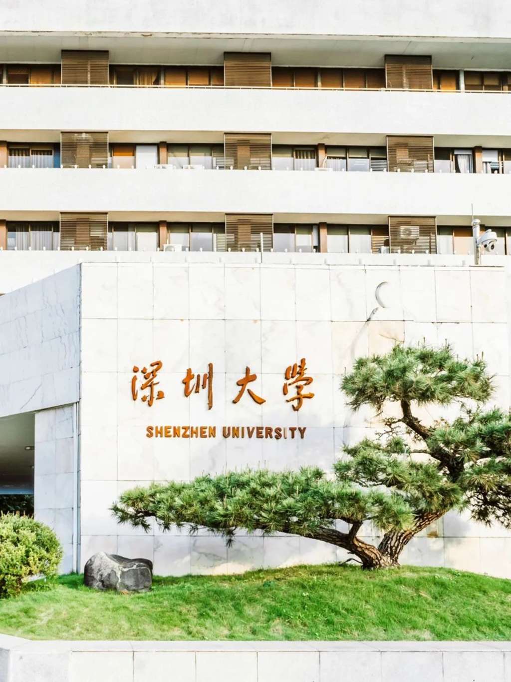 深圳大学今年录取分数线是多少？录取要求有哪些？