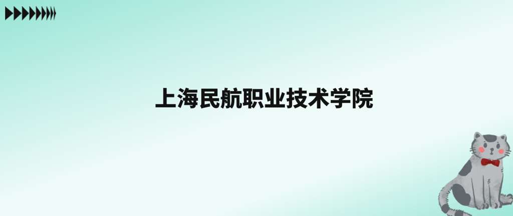 上海民航职业学院在全国排名多少位？特色专业有哪些？