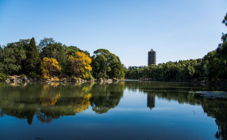 北京大学的邮箱地址是什么？联系方式有哪些？