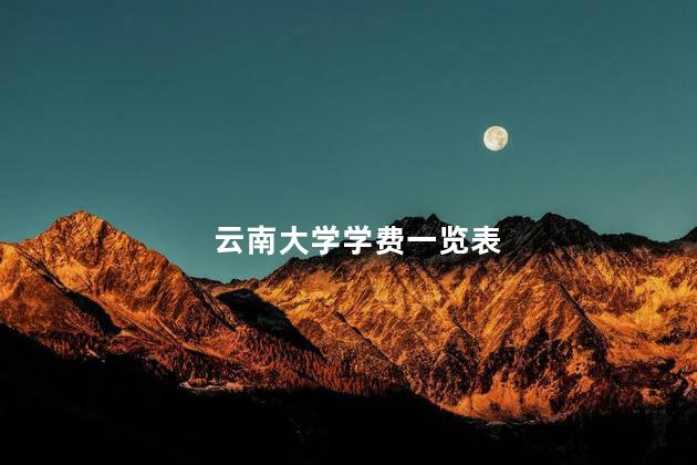 云南大学每年的学费是多少？有哪些助学政策？