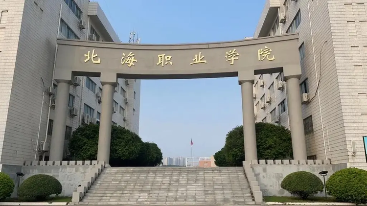 北海市一共有多少所大学？这些大学的优势专业是什么？