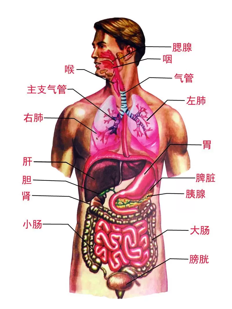 卫校一年的学费是多少？有哪些课程？