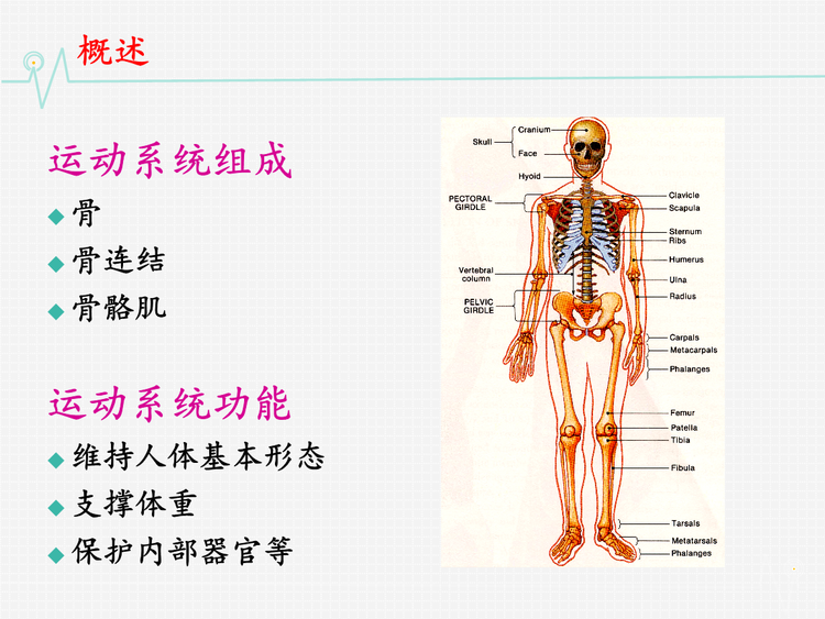 卫校一年的学费是多少？有哪些课程？