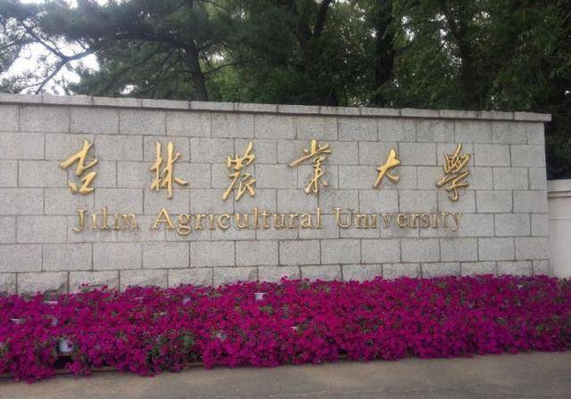 吉林省有多少所理科二本大学？各校优势是什么？