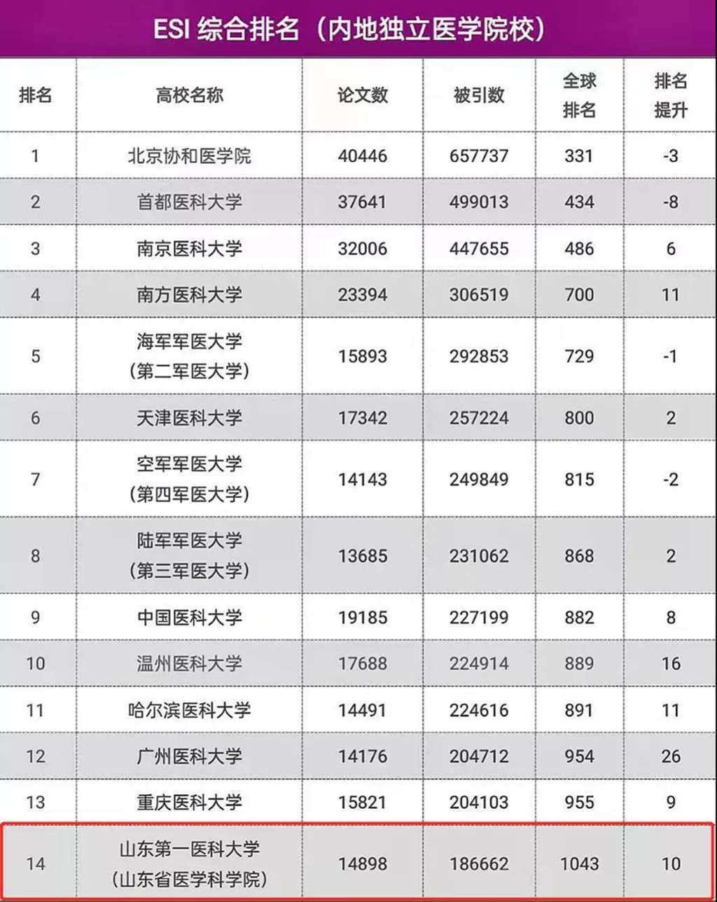 山东大学共有多少个学科？哪些学科较为突出？