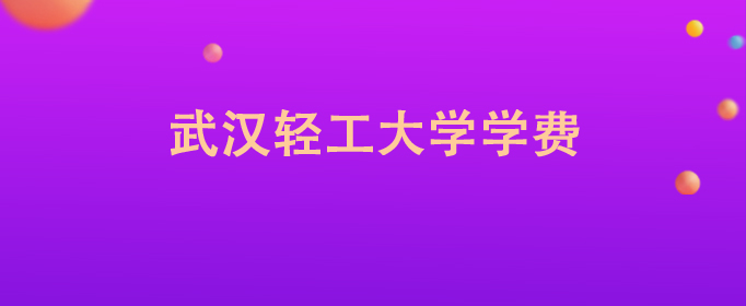 武汉轻工一般多少钱？学费结构如何？