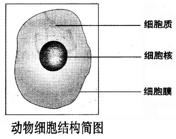 陆丰中考总分是多少？有哪些科目？