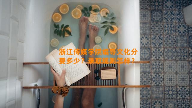 浙江传媒学院编导文化分要多少？录取规则怎样？