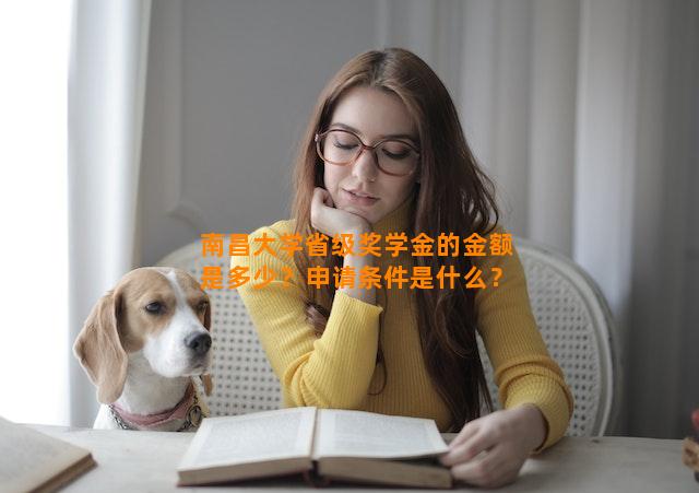 南昌大学省级奖学金的金额是多少？申请条件是什么？