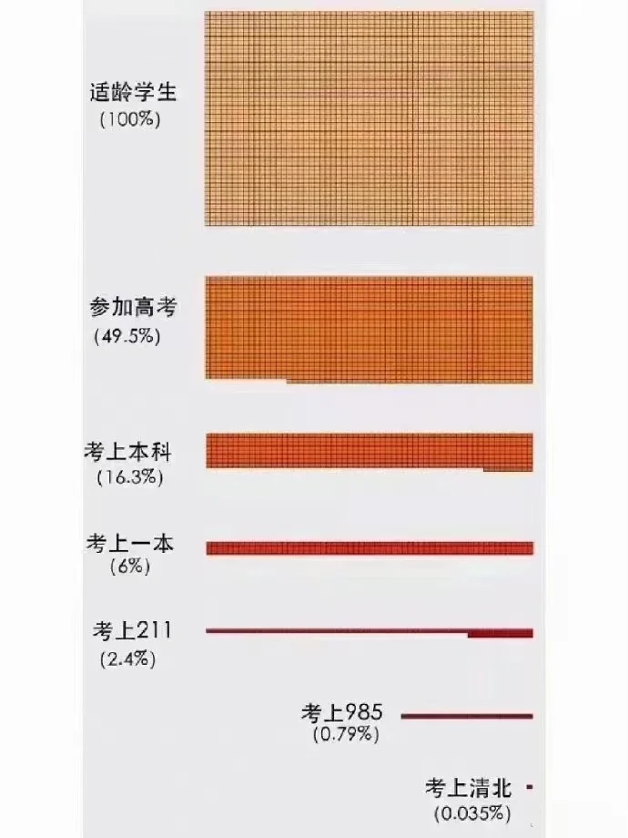 来看看考上大学能在同龄人里排到多少呢？