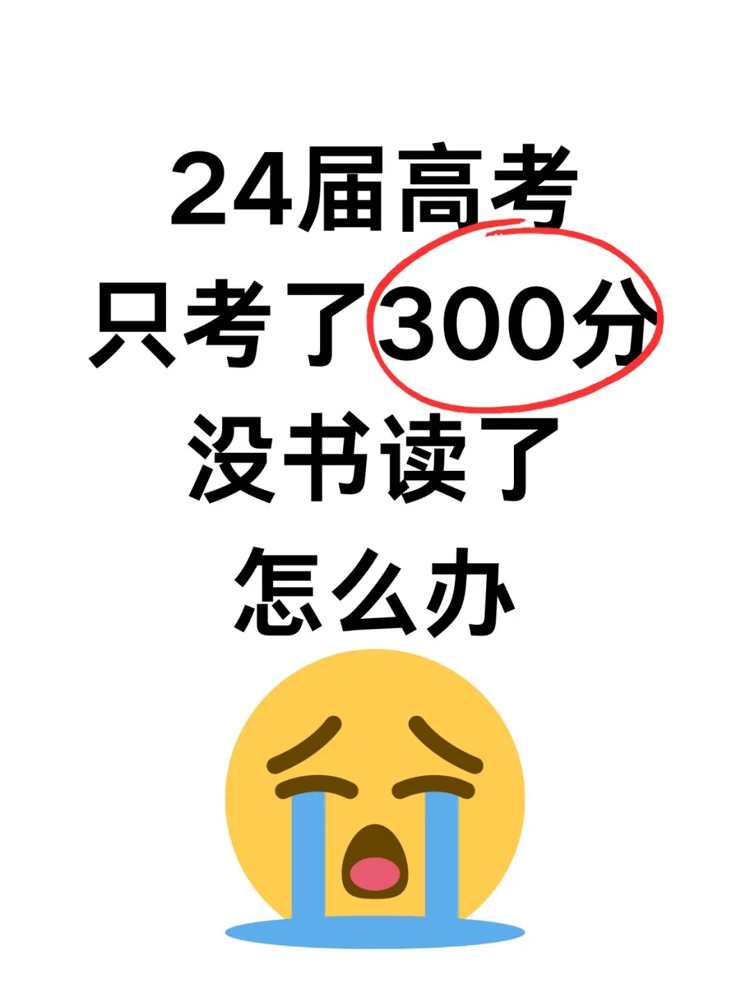 高考分数300没书读了