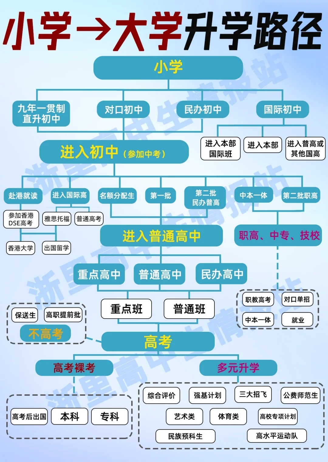 一张图就把小学到大学的升学途径说明白了？