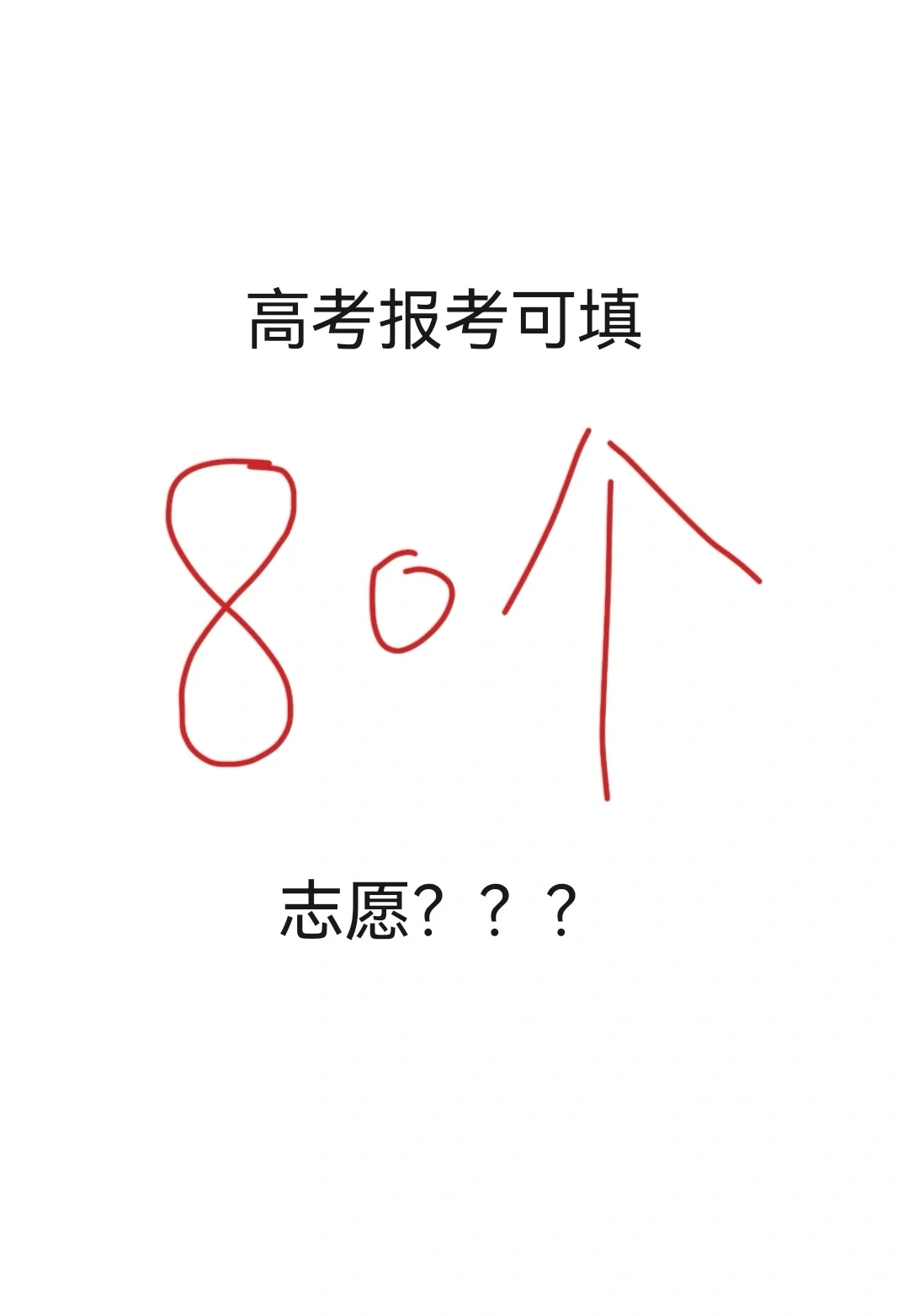 新高考报可以填40+40个志愿？