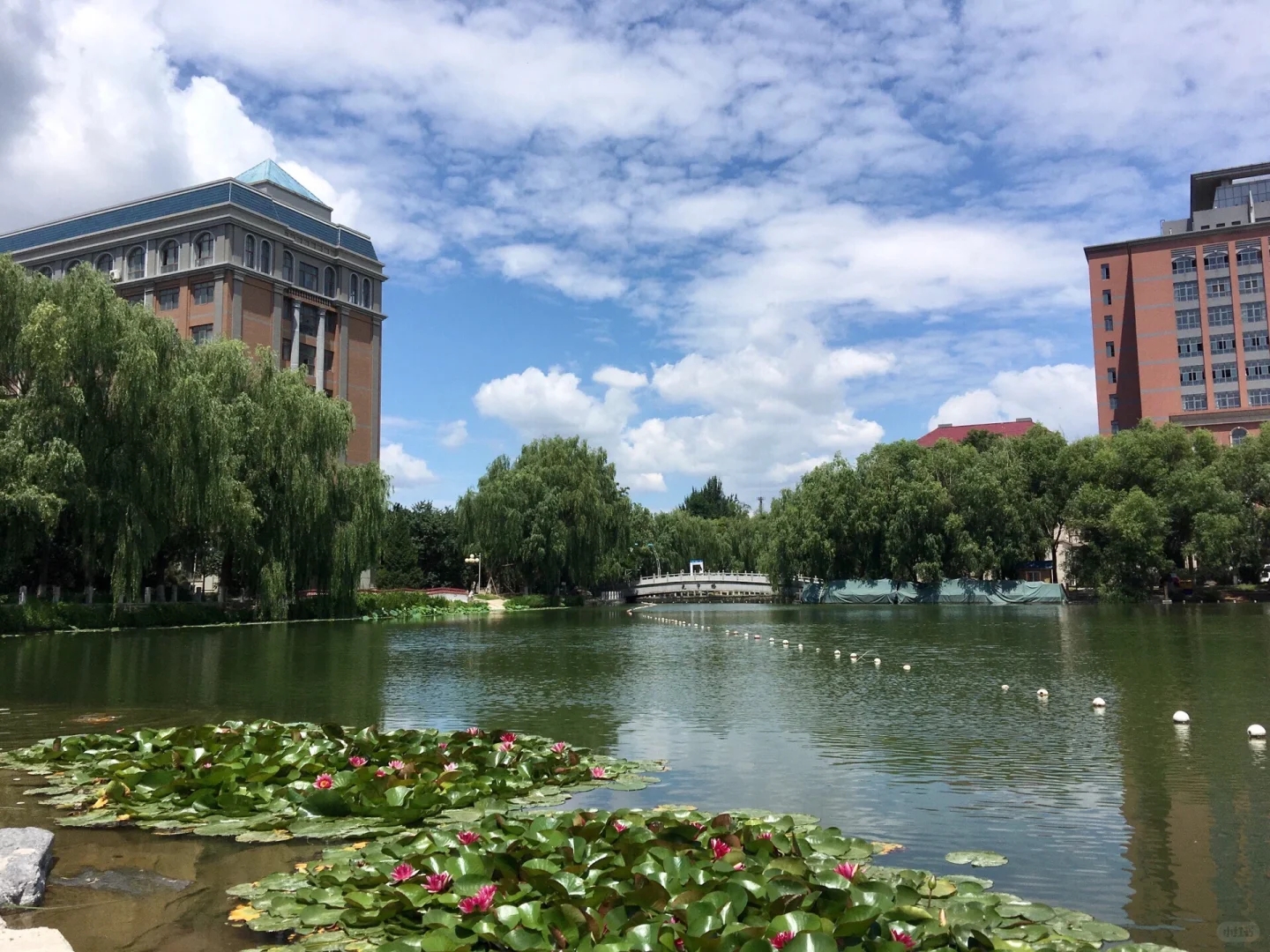 避雷渤海大学❗24级高考生务必认真看❗❗