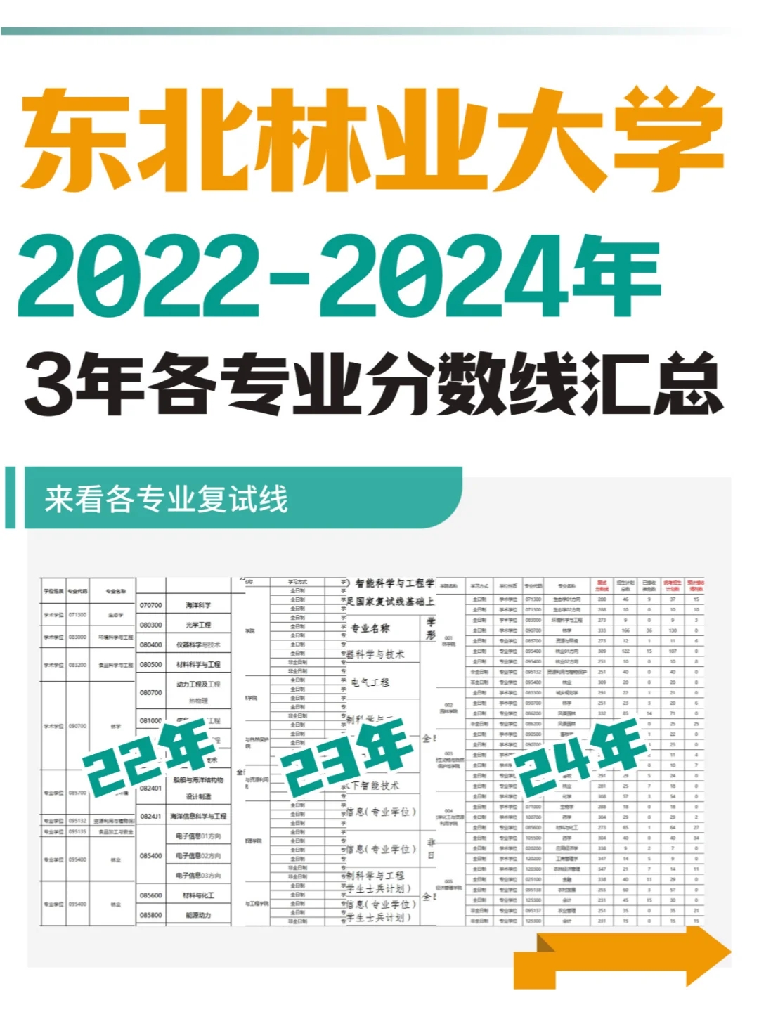 东北林业大学22-24年🔍考研分数线汇总