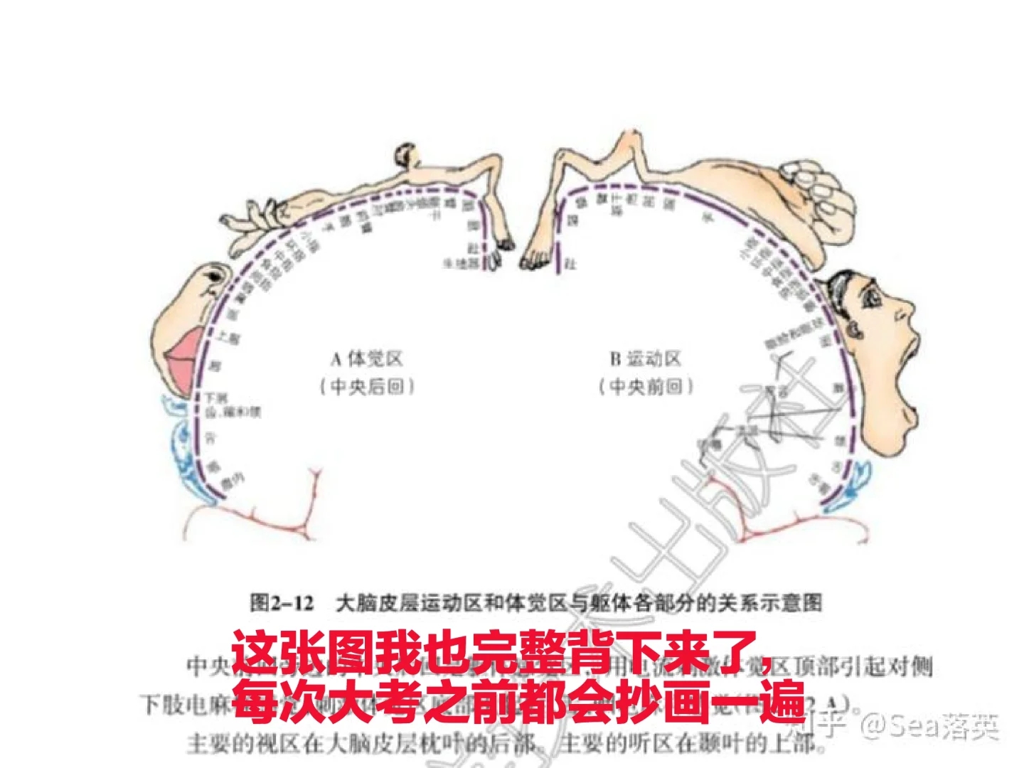 浙江高考生物满分经验分享