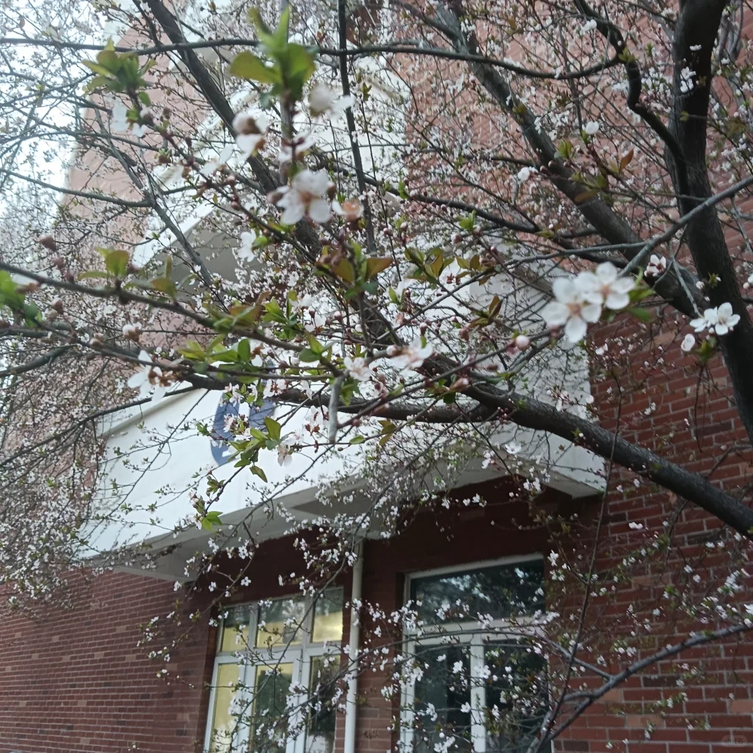 淮北师范大学新生必须要知道的！！！