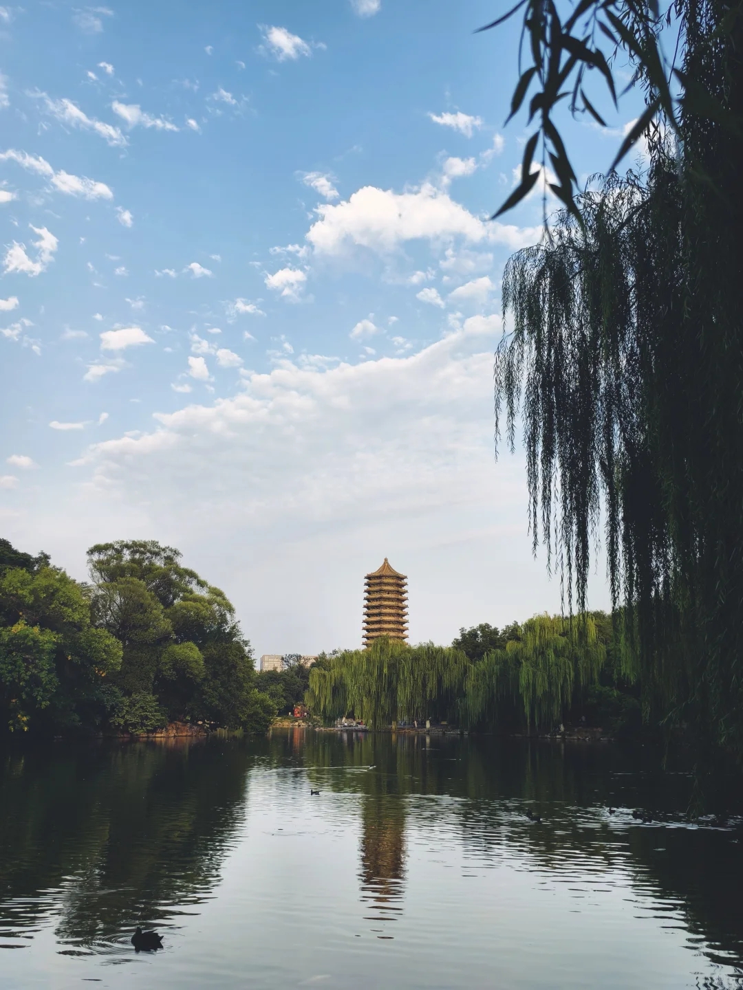 北大研一，顶刊已发，空前迷茫