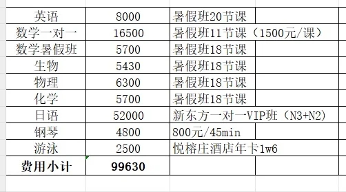 暑假2个月花费20个W