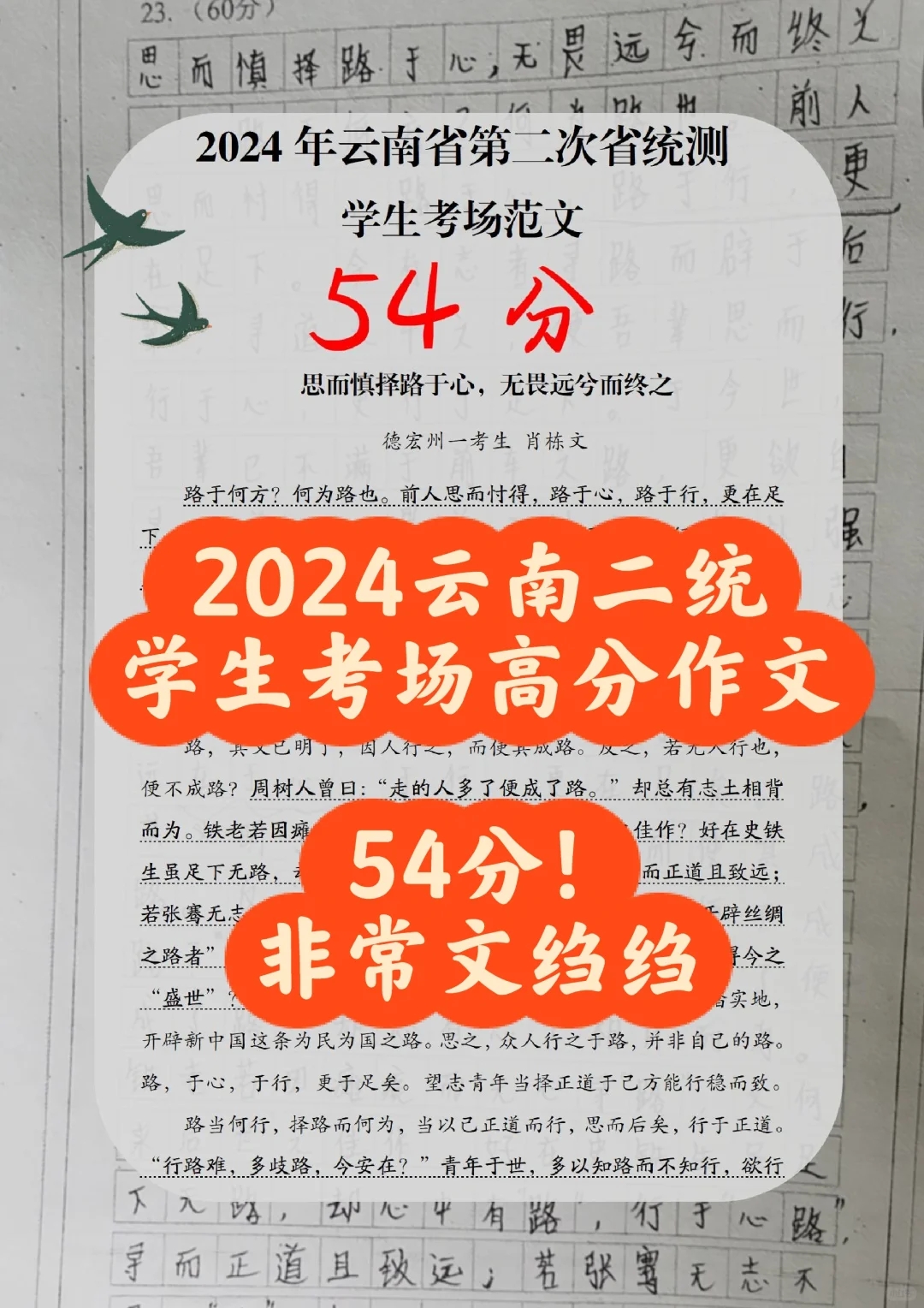 2024云南省二统惊艳的考场范文！