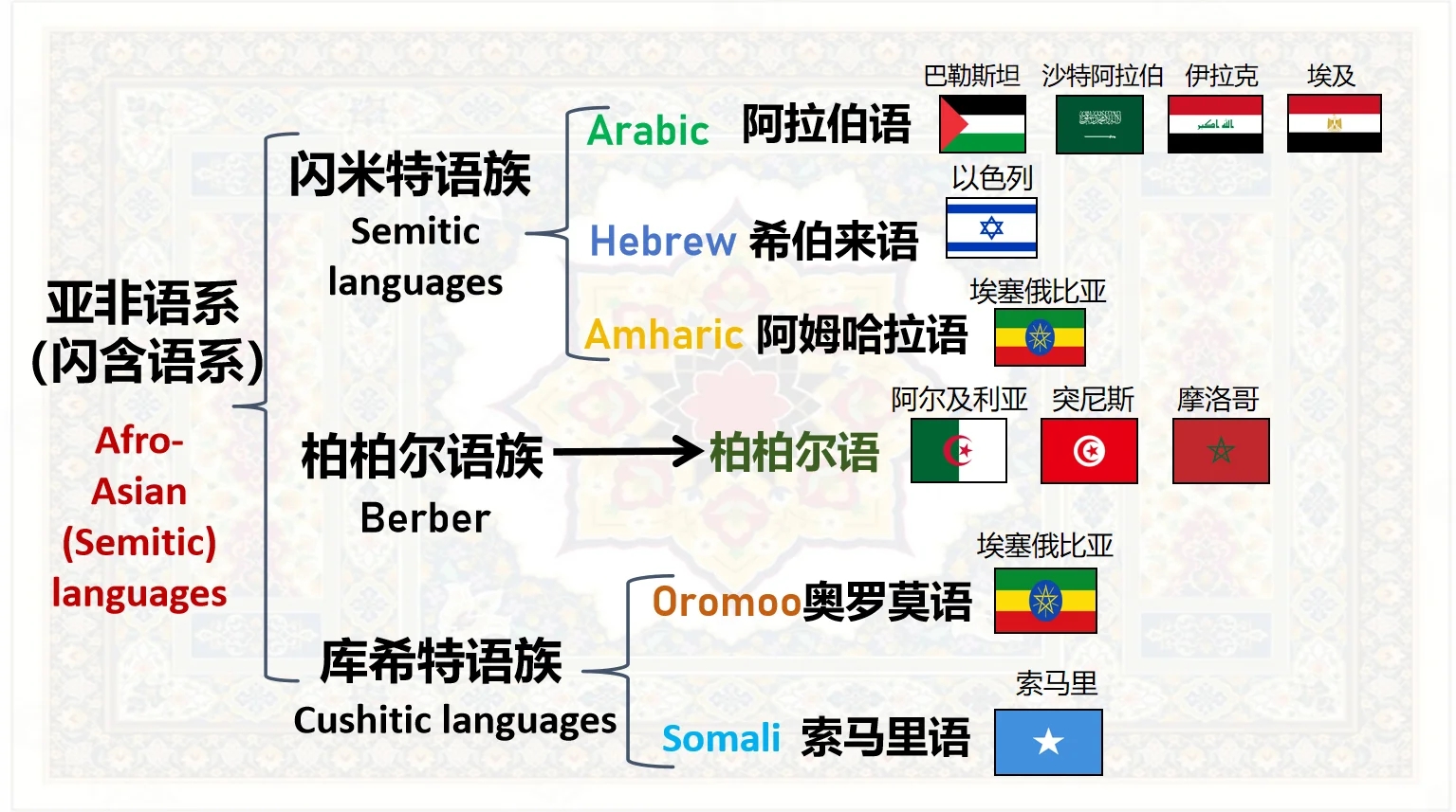 世界各国各地语言谱系图