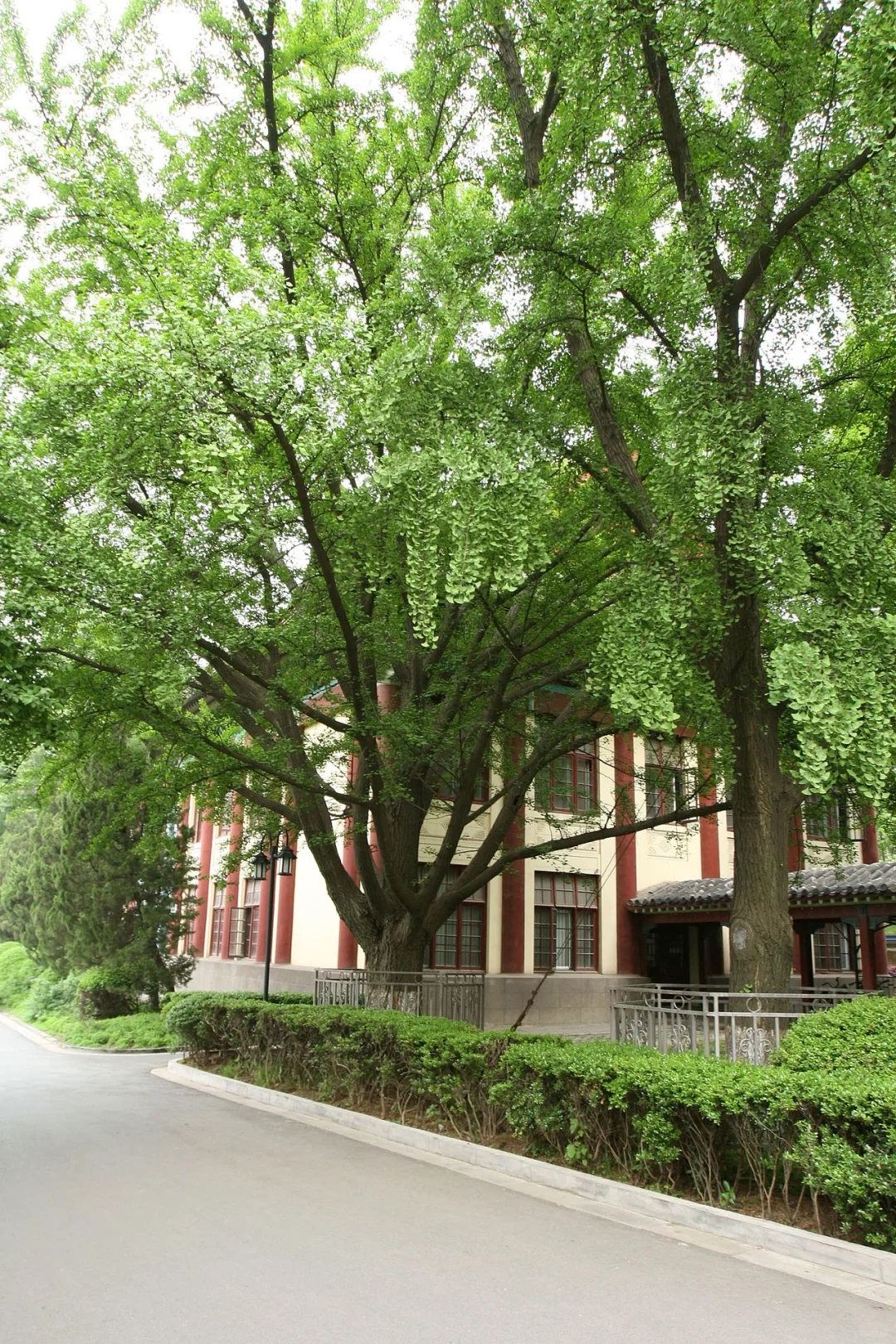 南京师范大学