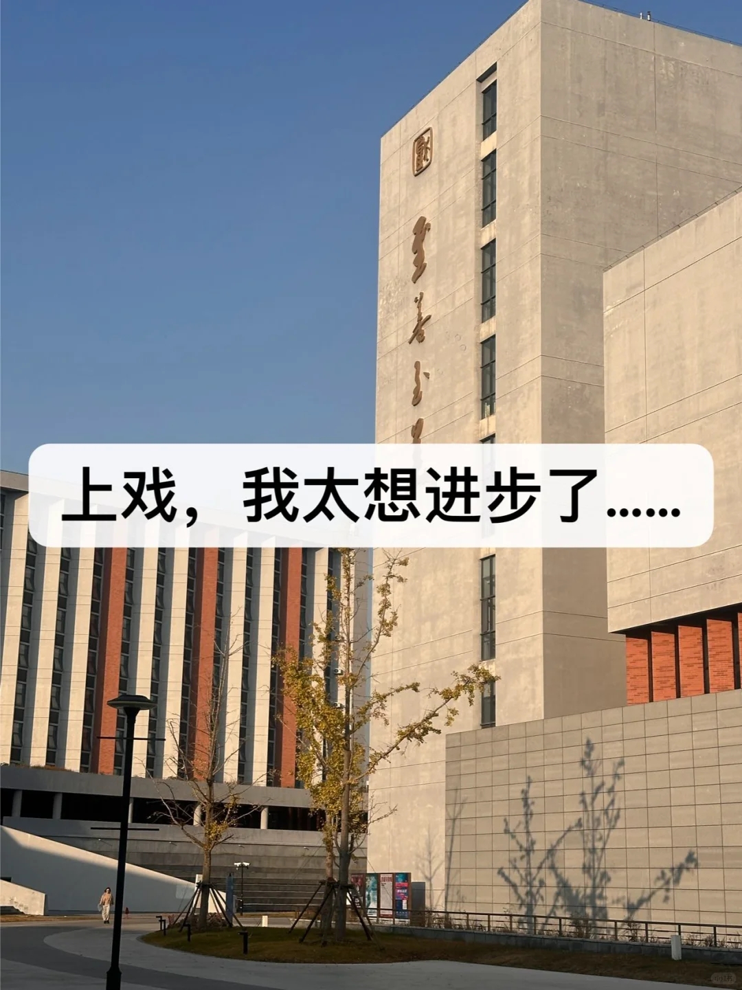 寒假计划安排上了：去上戏学表演