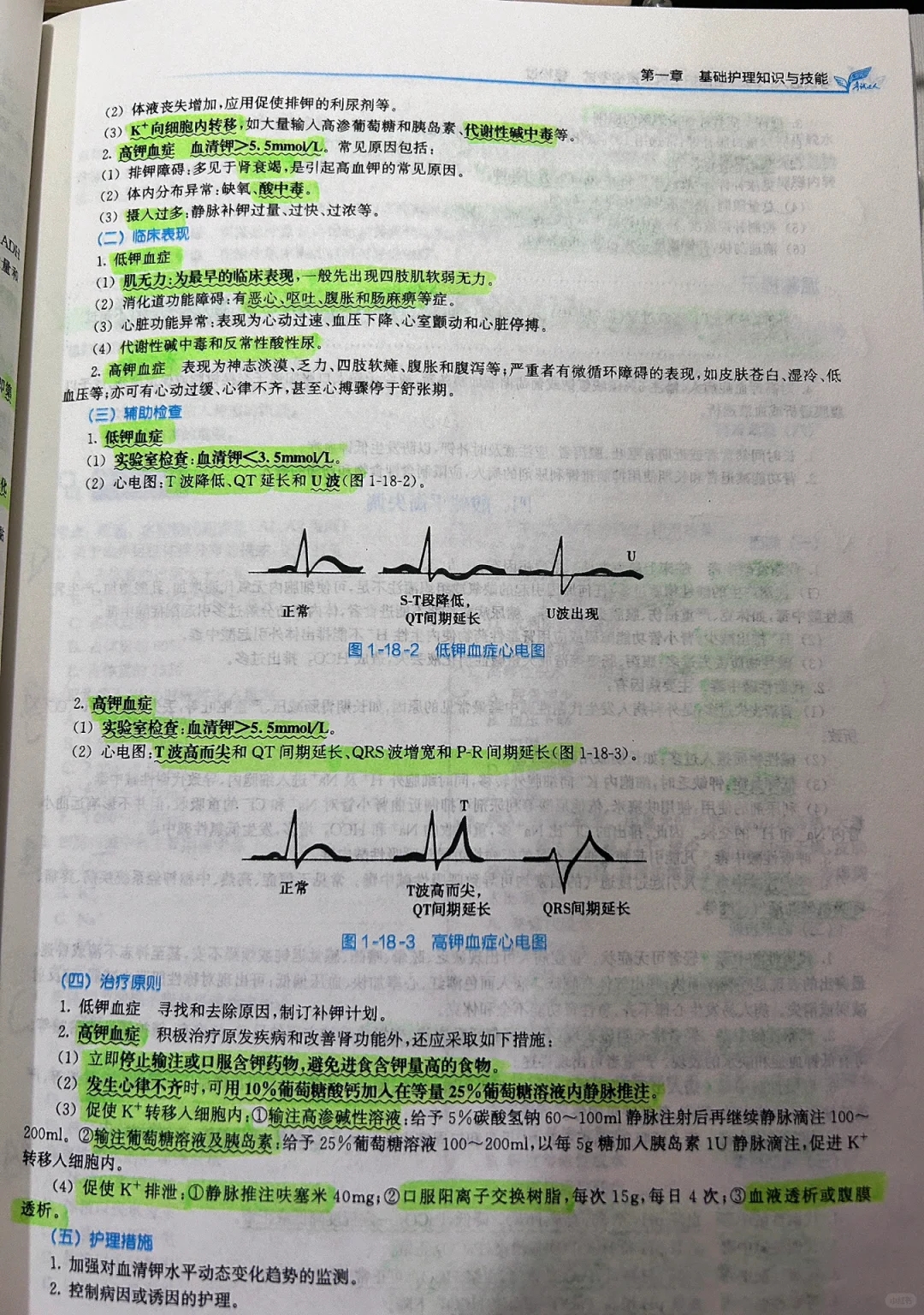 备考医院招聘考第7️⃣天！