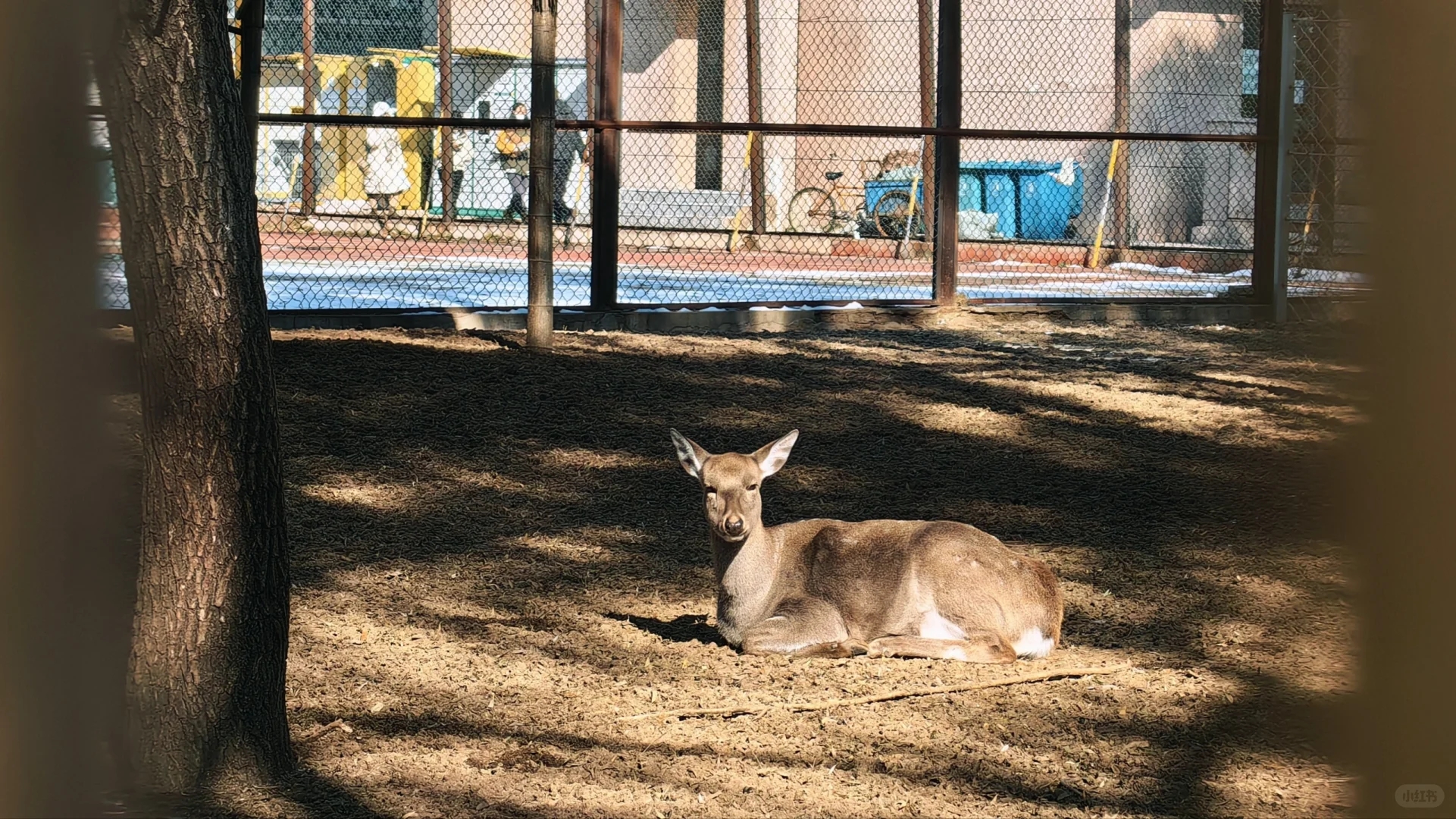 到底有没有人来管管沈阳建筑大学啊