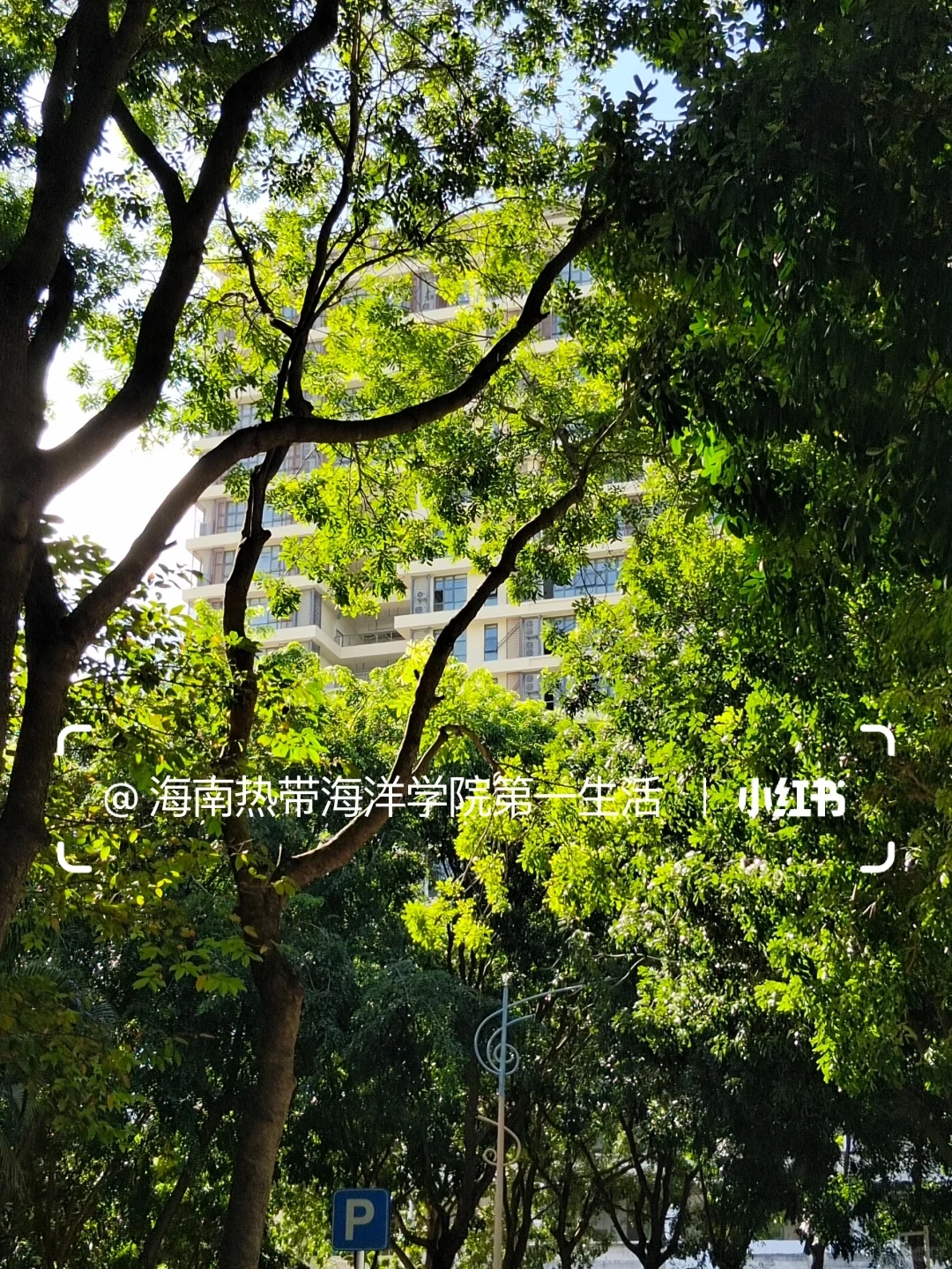 海南热带海洋学院在读一年，避雷。。。。