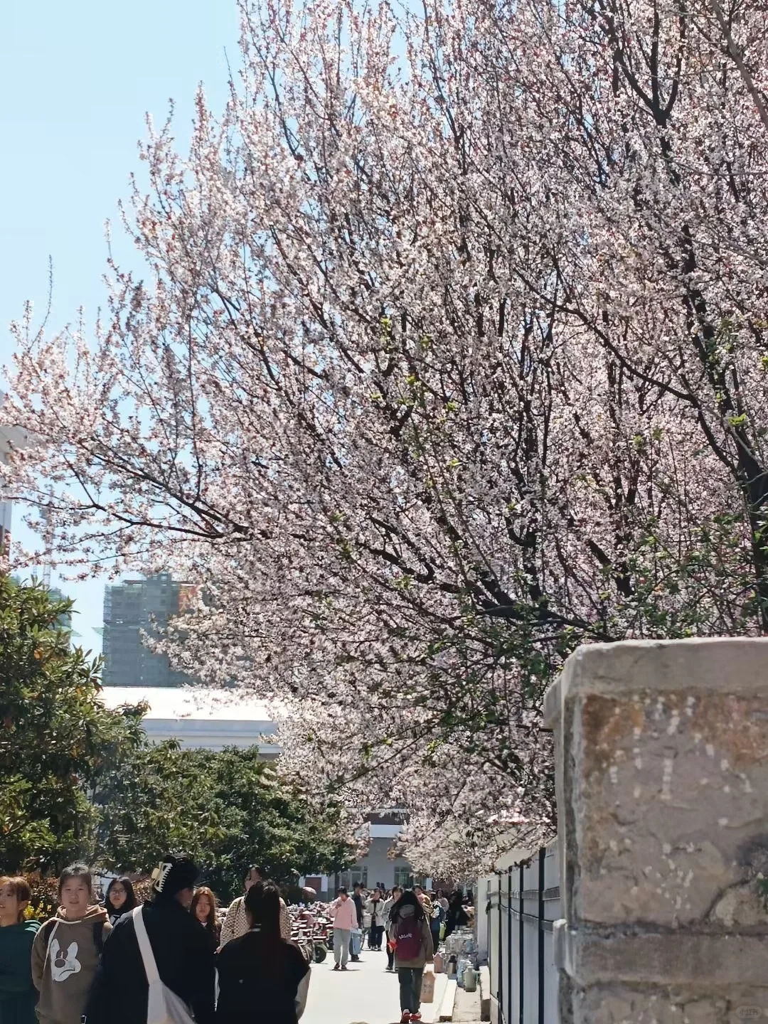 淮北师范大学新生必须要知道的！！！