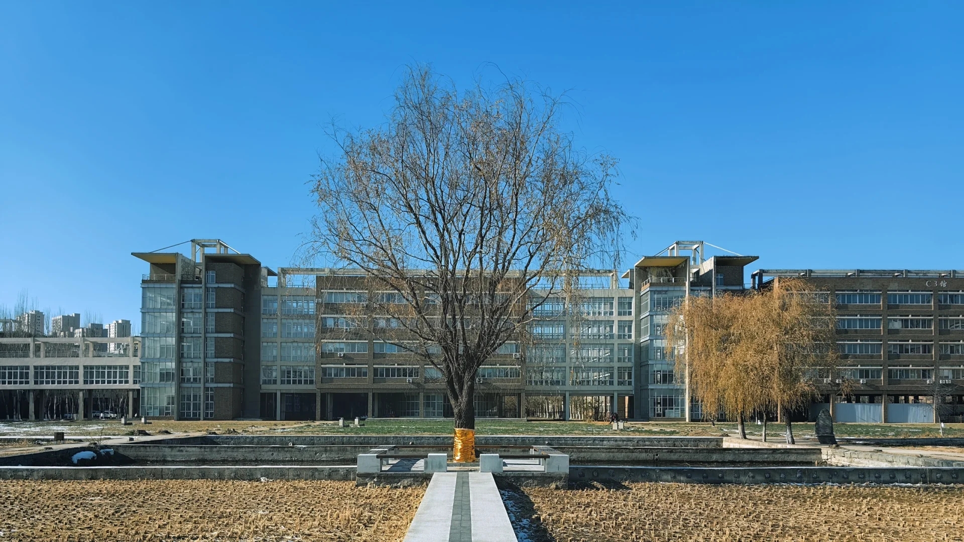 到底有没有人来管管沈阳建筑大学啊