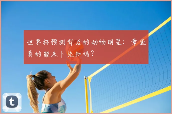 世界杯预测背后的动物明星:章鱼真的能未卜先知吗?