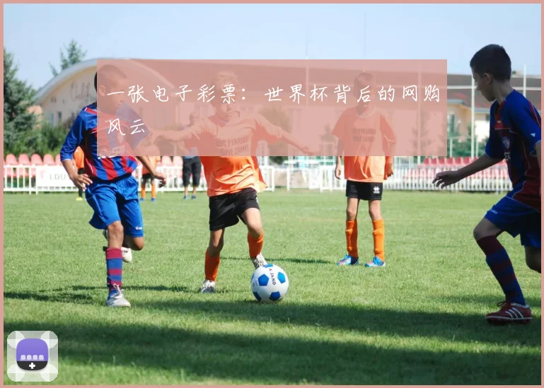 一张电子彩票：世界杯背后的网购风云