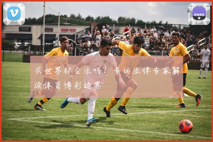 买世界杯合法吗?专访法律专家解读体育博彩边界