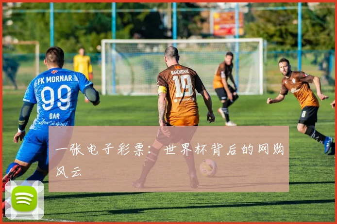 一张电子彩票:世界杯背后的网购风云
